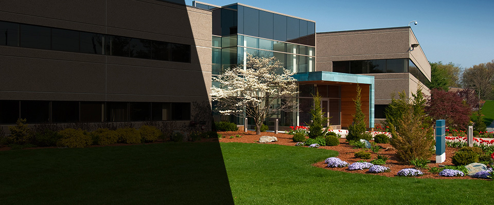 Reisterstown Landscapers