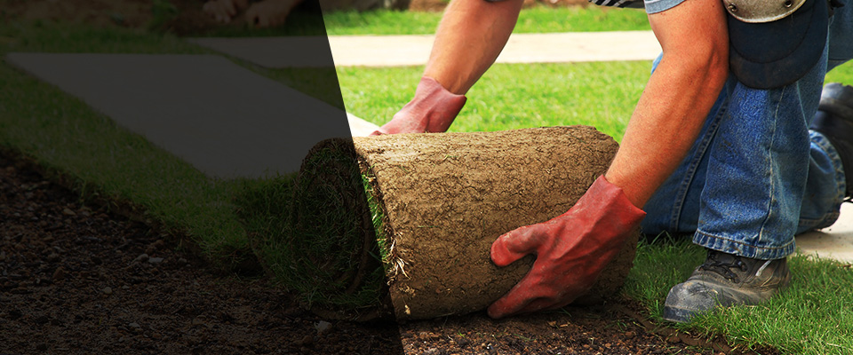 Reisterstown Landscapers